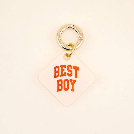 Best Boy Pet Tag
