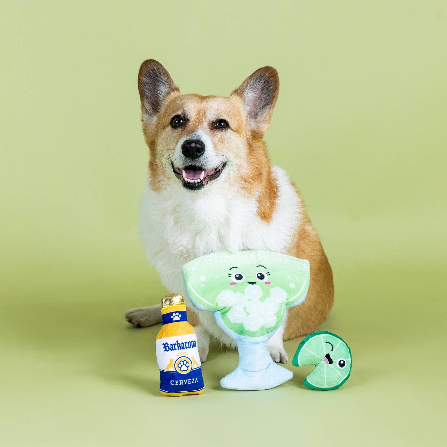 Drop Me A Lime Hide and Seek Dog Toy