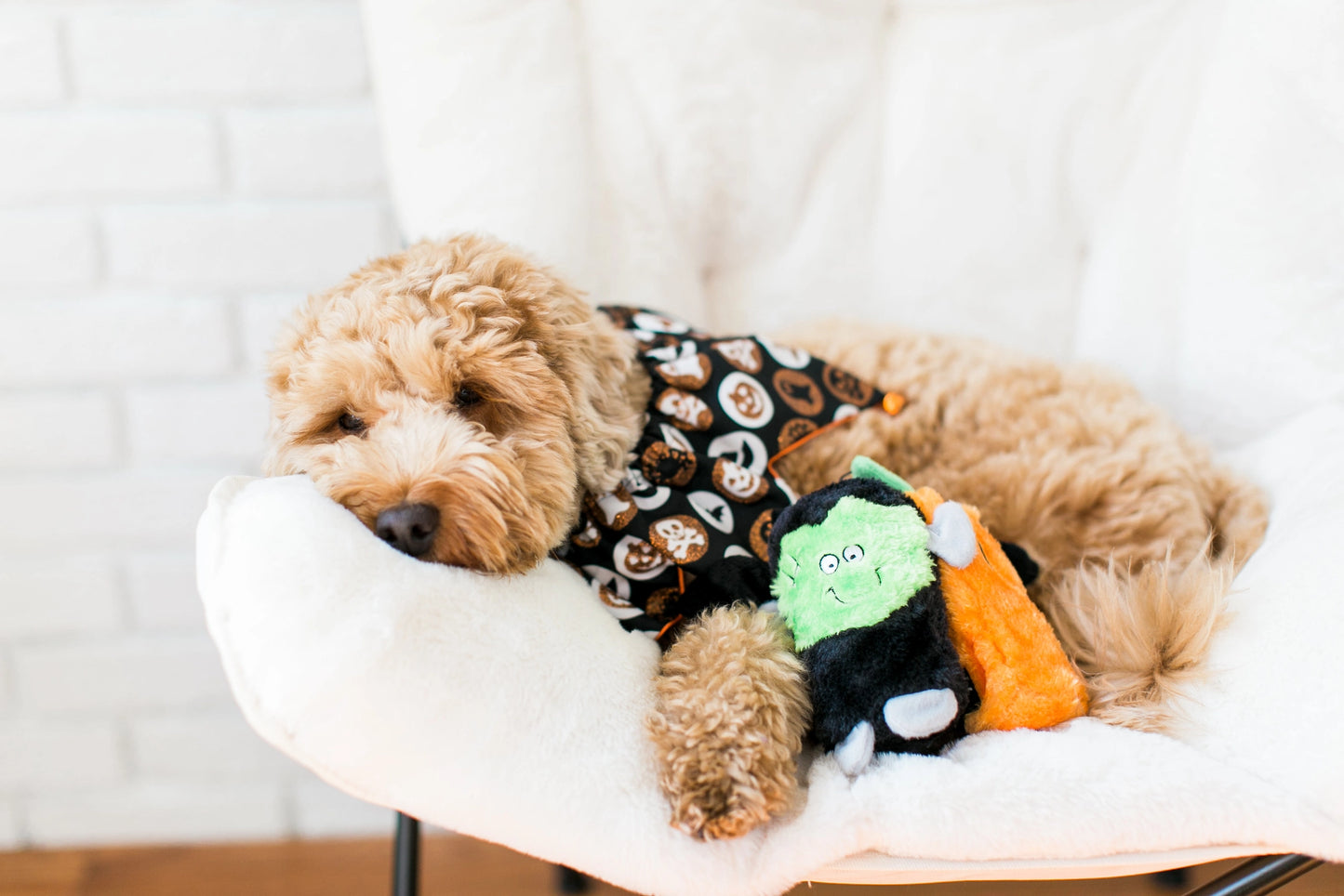 Halloween Squeakie Buddies - Pack of 3