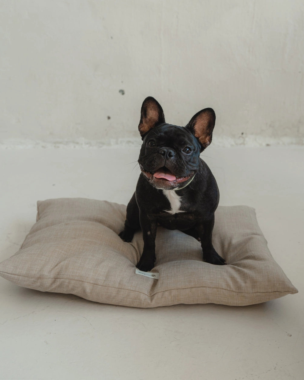 Dog Bed