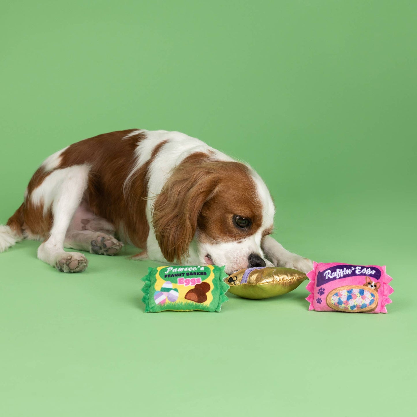 Easter Candy - 3 PCS Small Dog Toy
