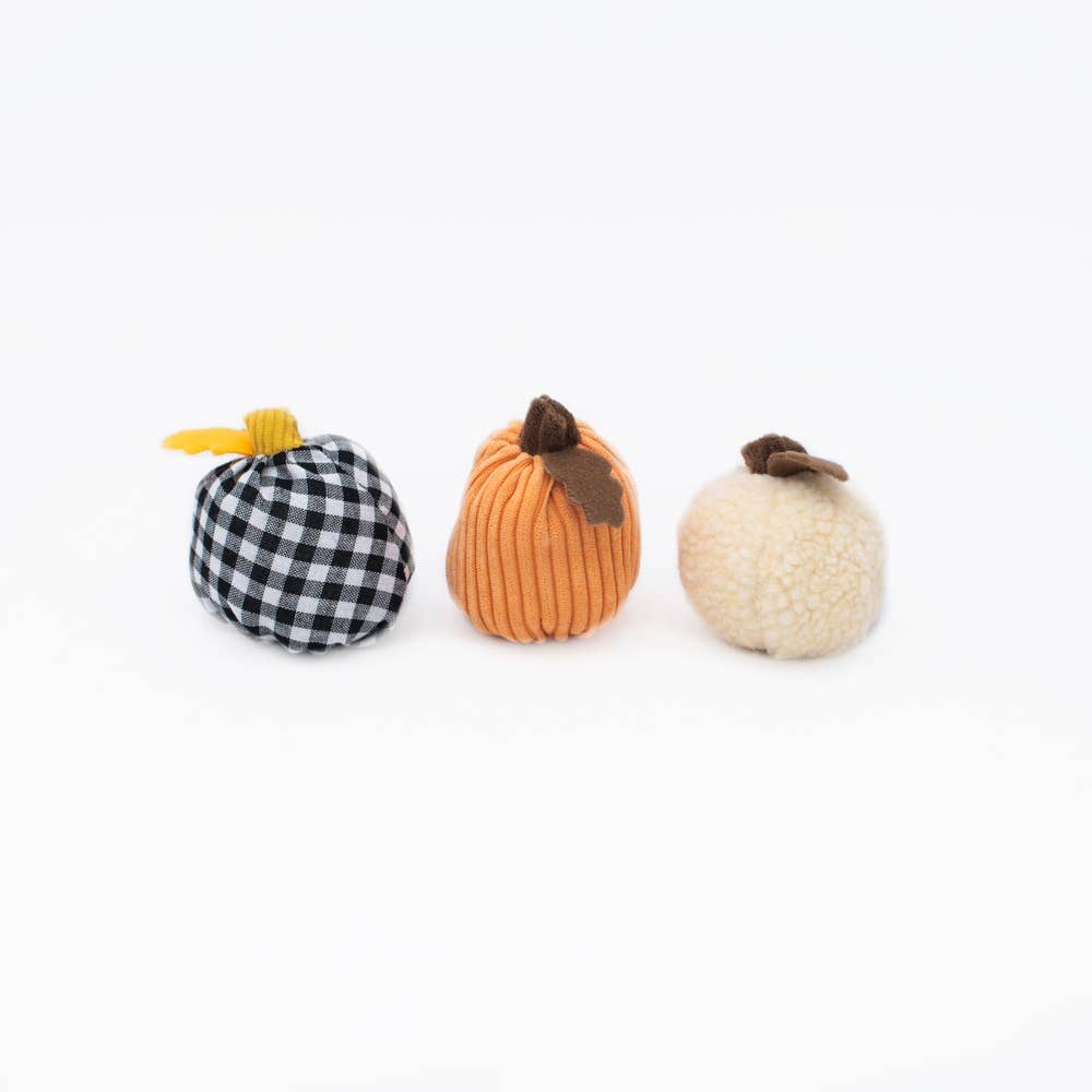 Halloween Miniz - Gourds (3-pack)