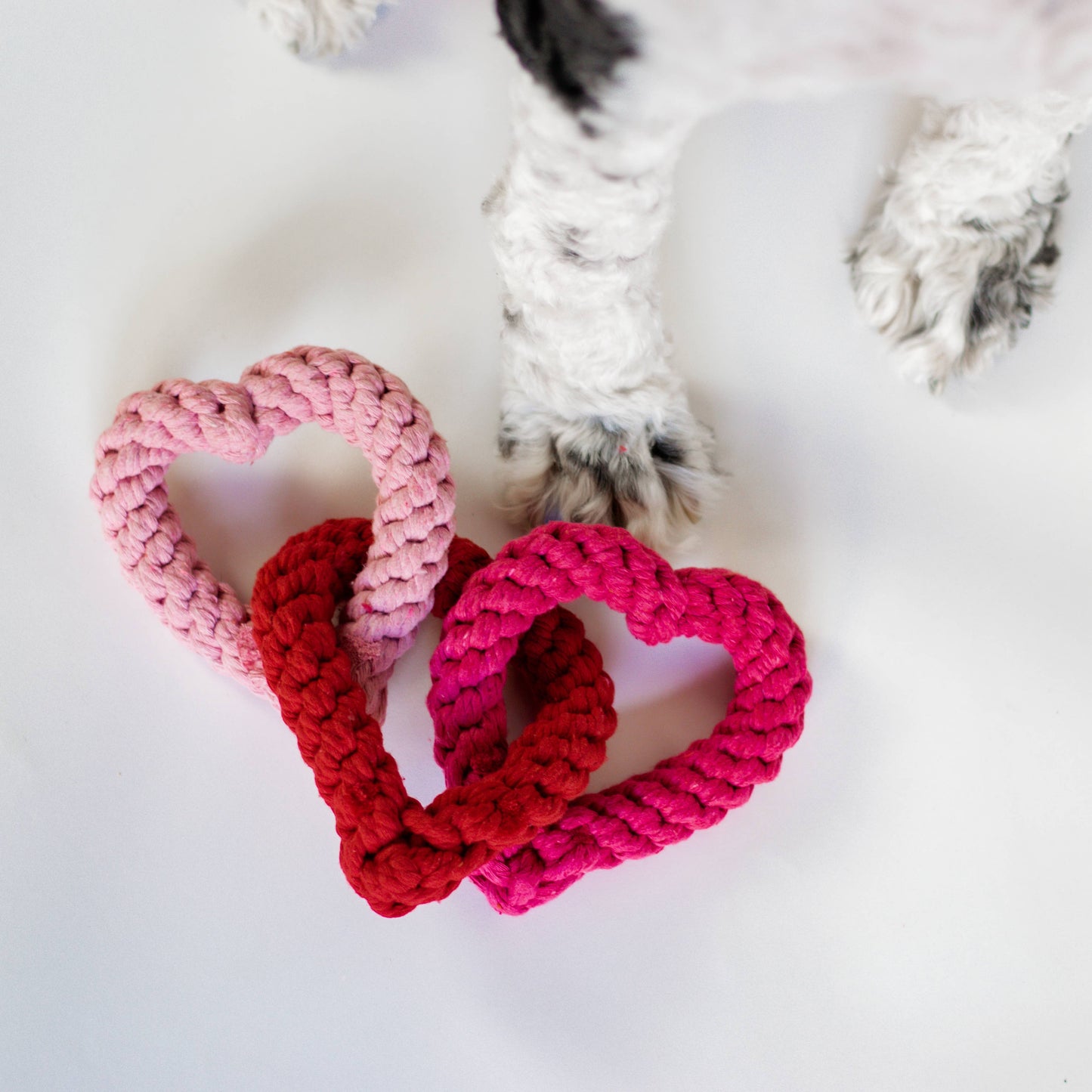 Interlocking Heart Rope Valentine Dog Toy