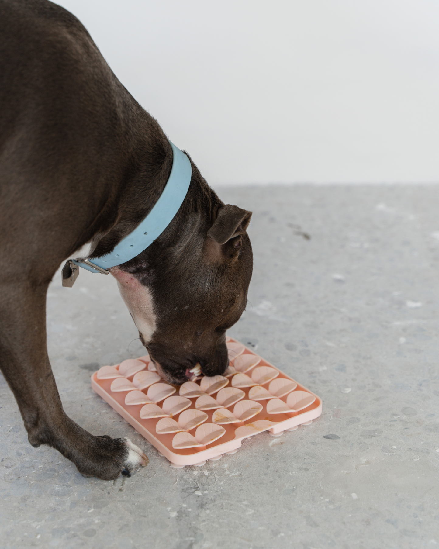 Blush Pink Silicone Snuffle Mat
