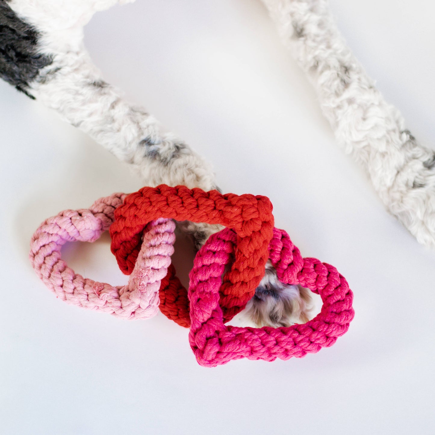Interlocking Heart Rope Valentine Dog Toy