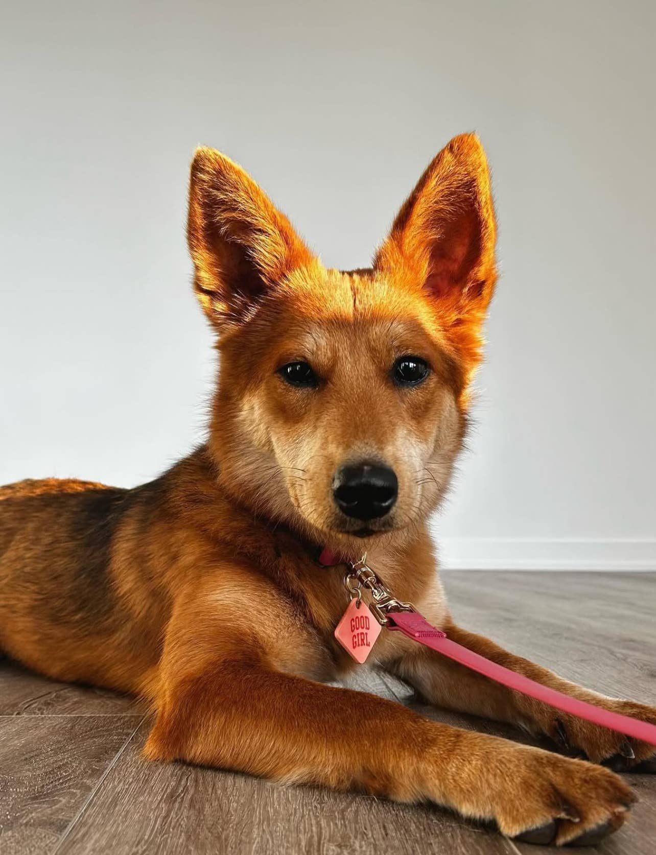 Good Girl Pet Tag