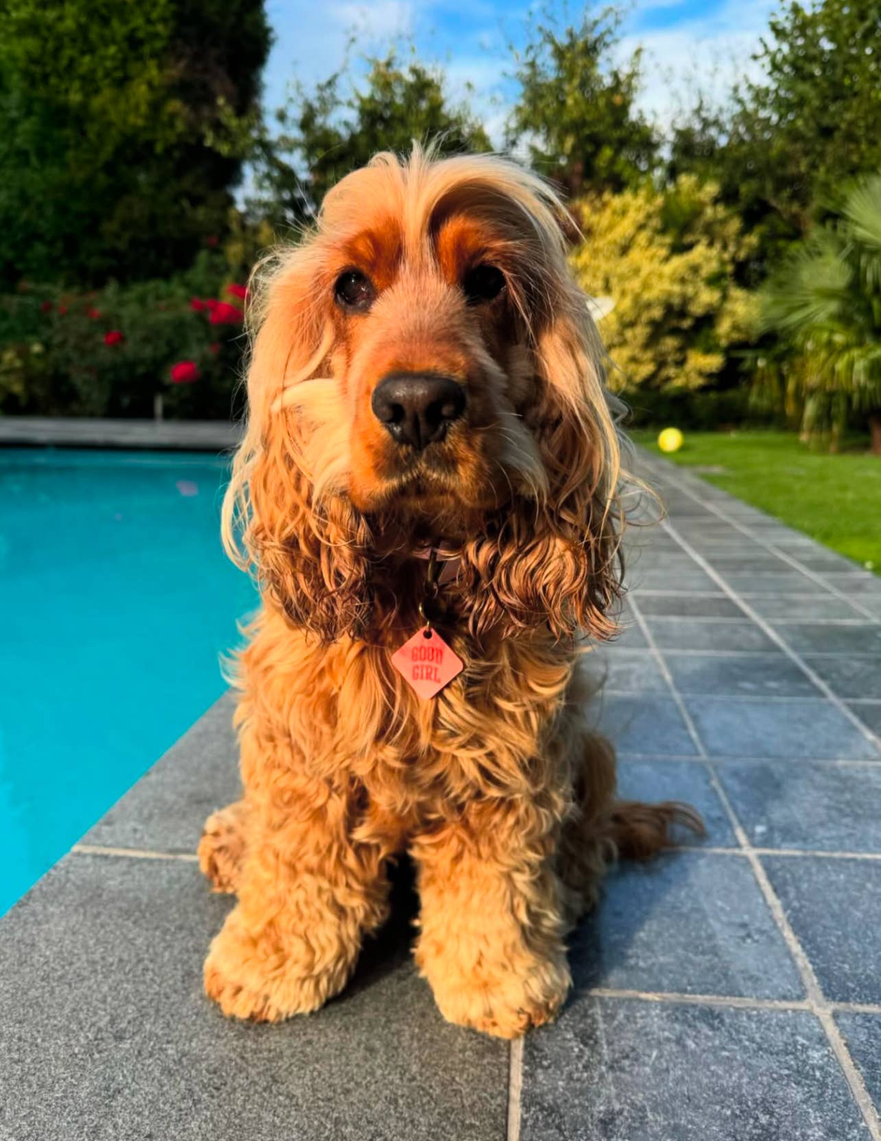 Good Girl Pet Tag