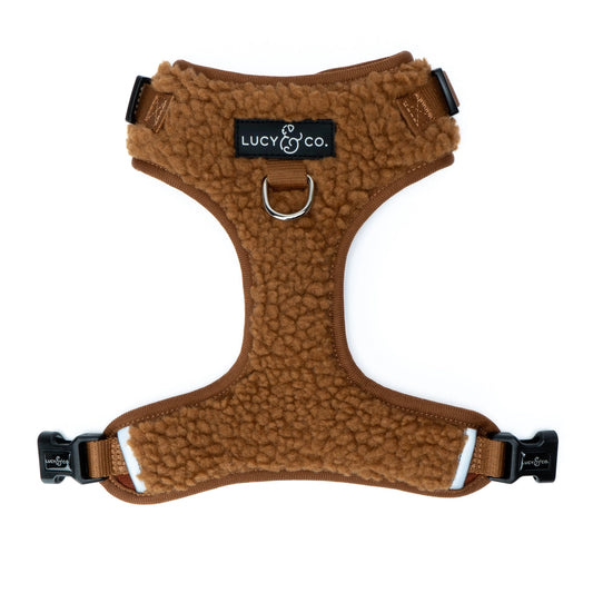 Cinnamon Teddy No-Pull Harness