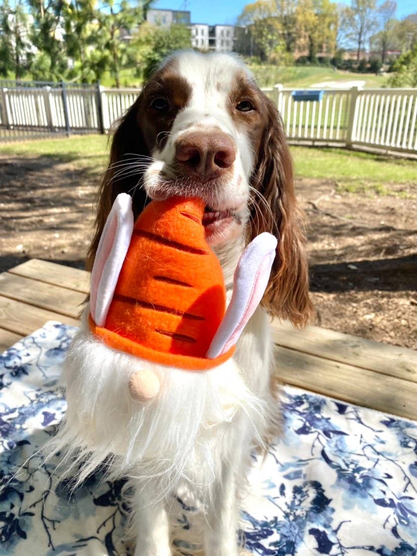 Easter Bunny Gnome Dog Toy