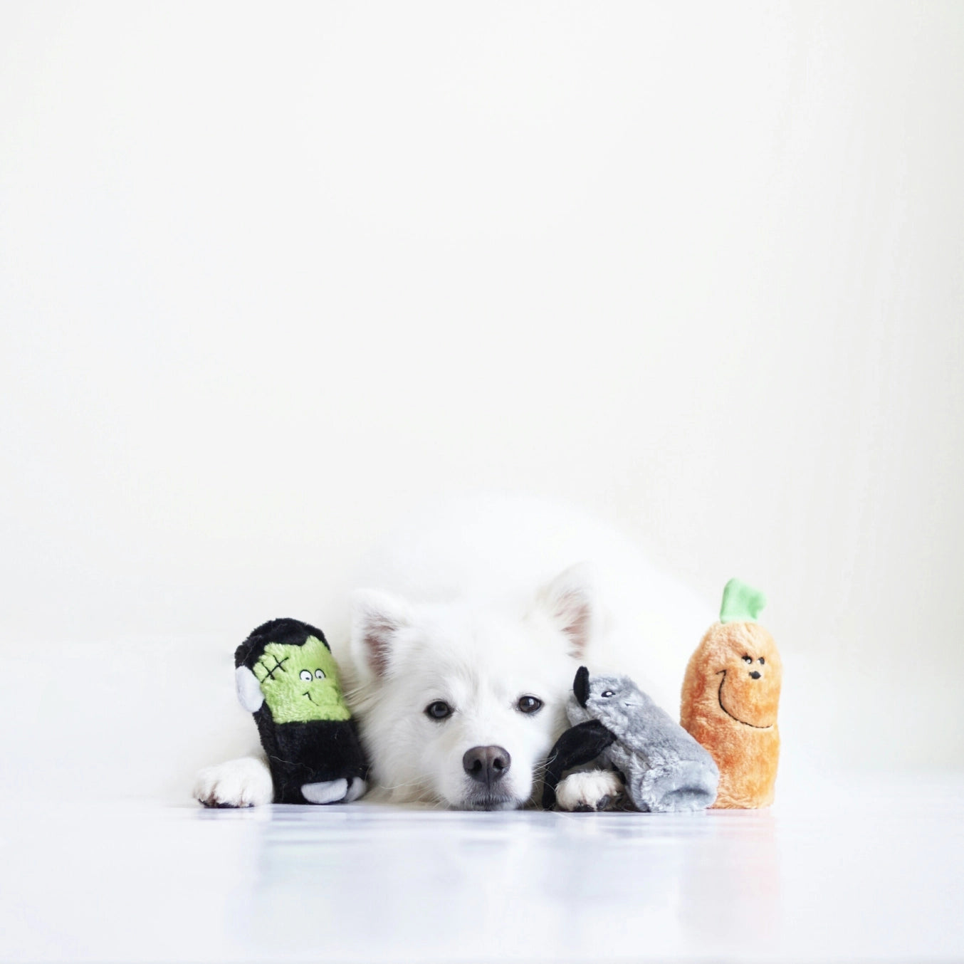 Halloween Squeakie Buddies - Pack of 3