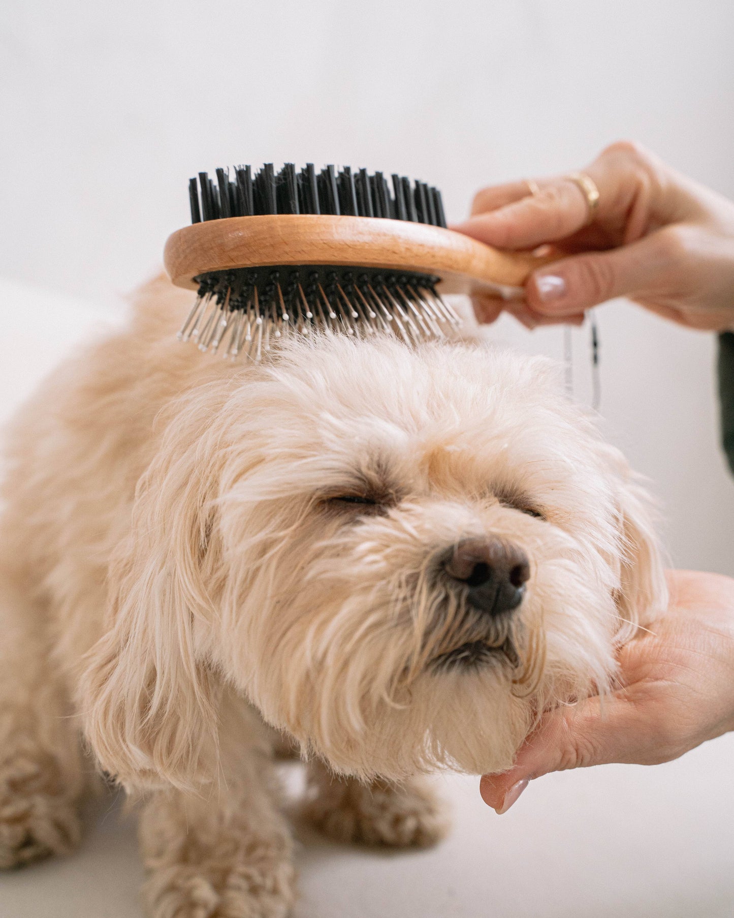 Dual-Sided Multi-Purpose Brush