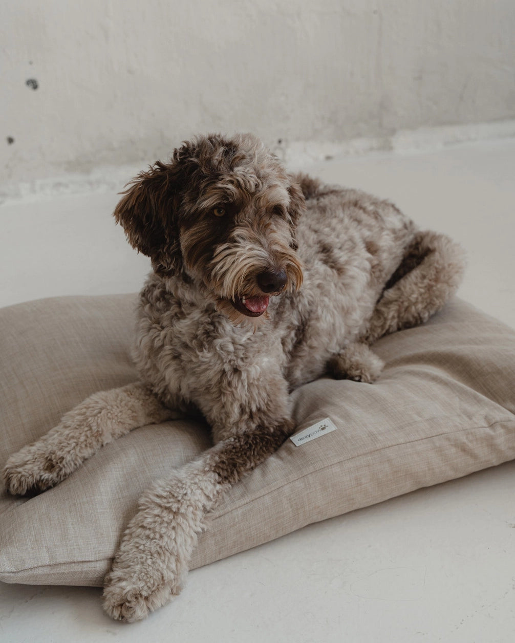 Dog Bed