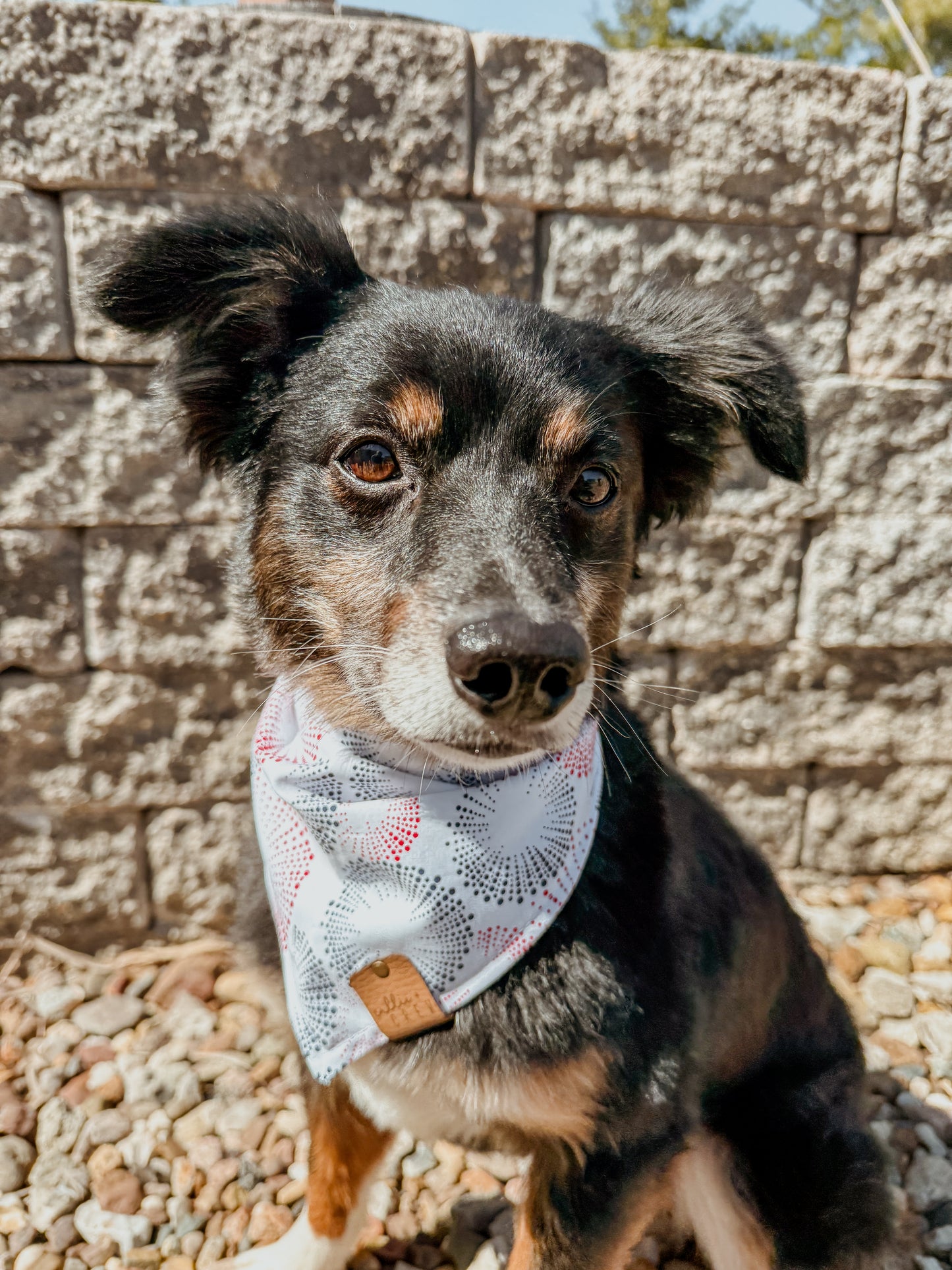 Patriot Pop Bandana