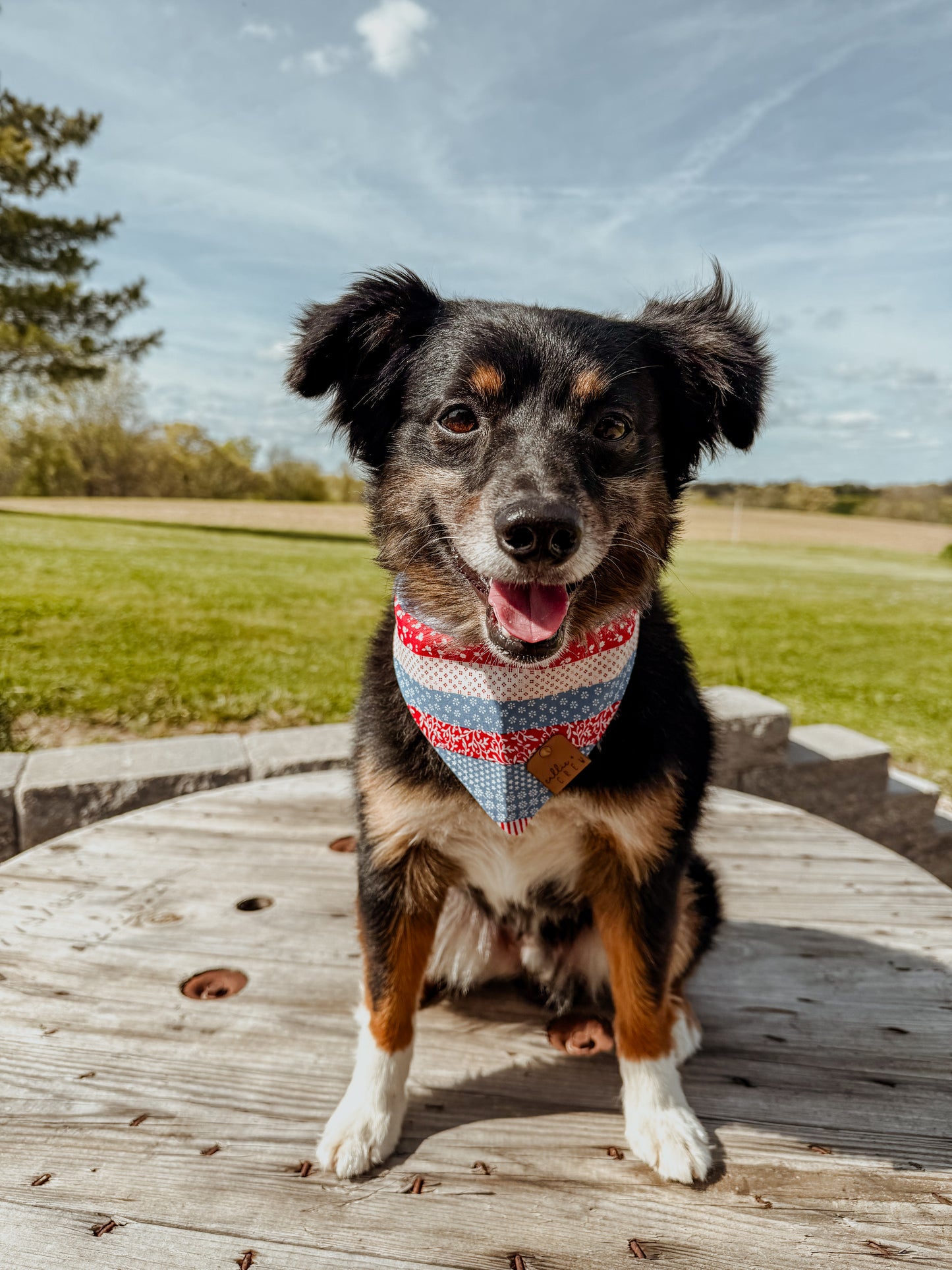 Patriotic Patchwork Bandana
