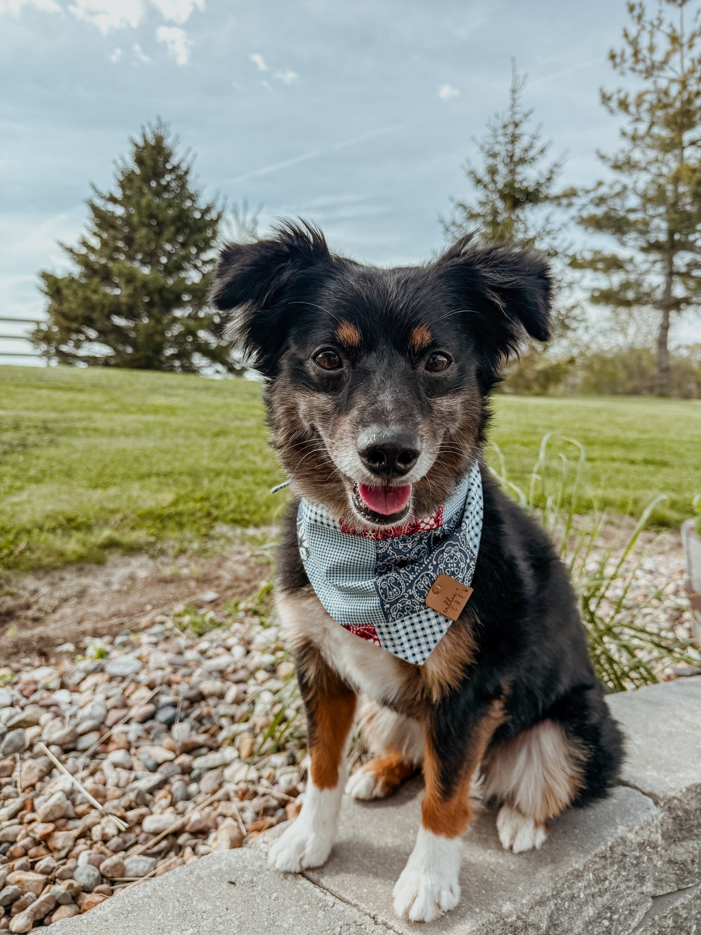 Red, White + Blue Bandana