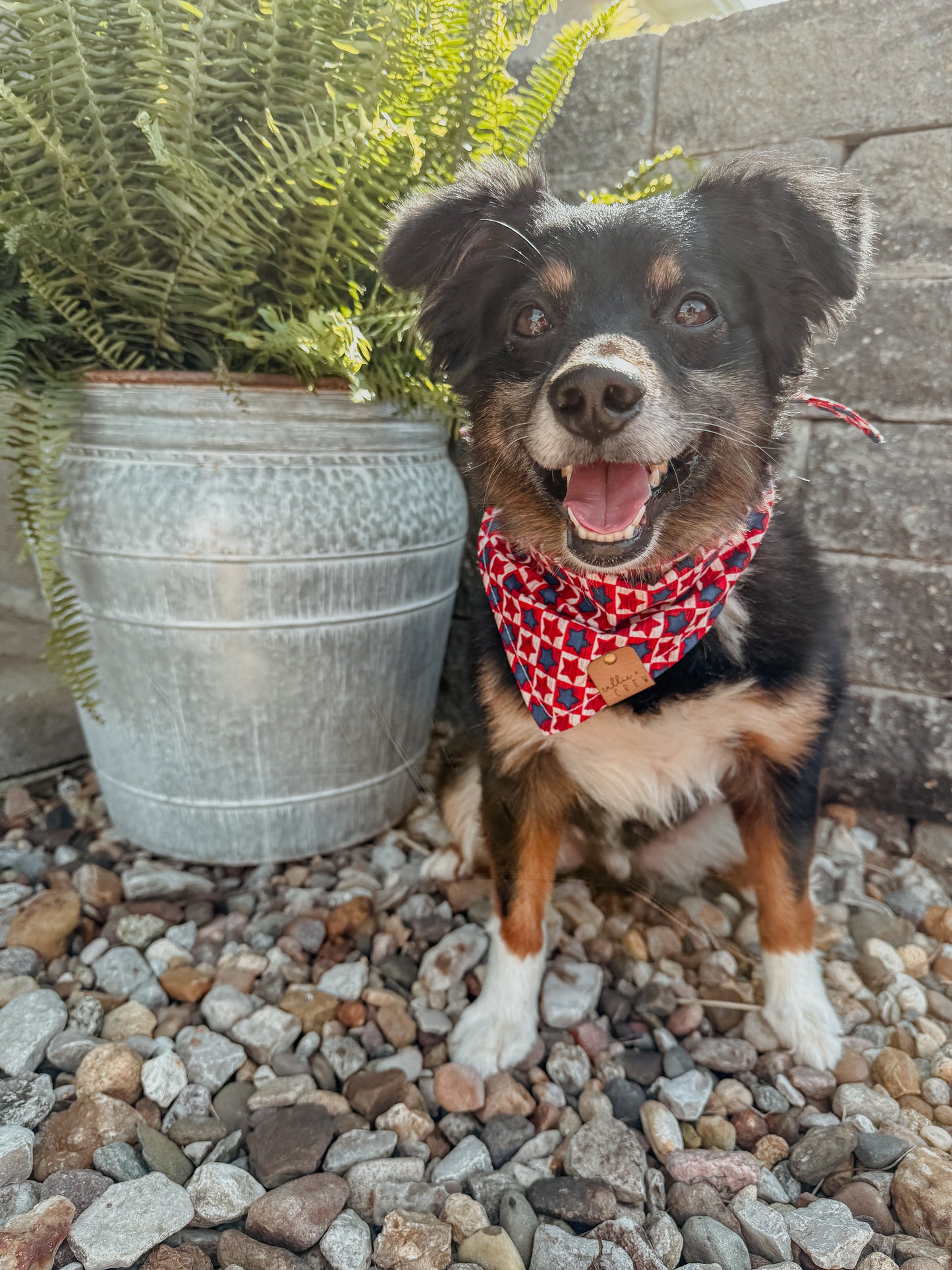 Star Spangled Bandana