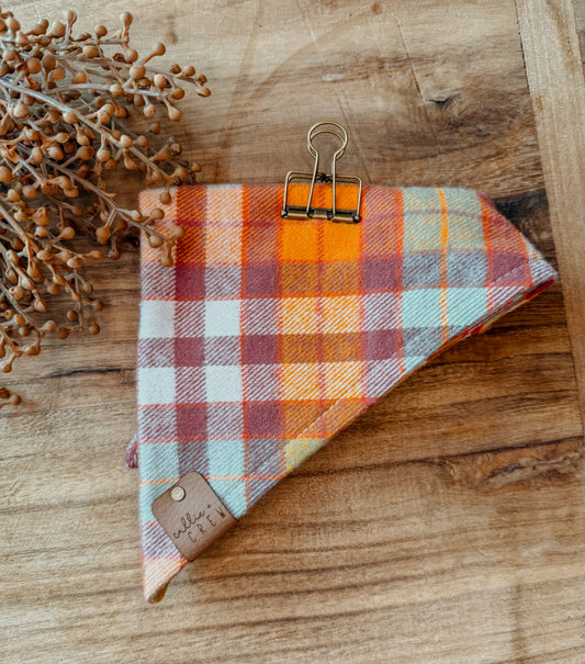 Farmers Market Bandana