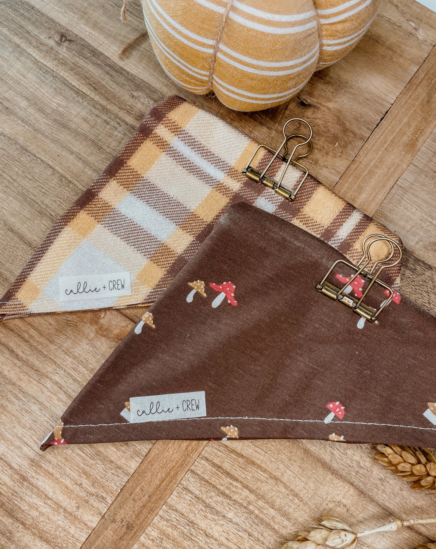 Mushroom Bandana