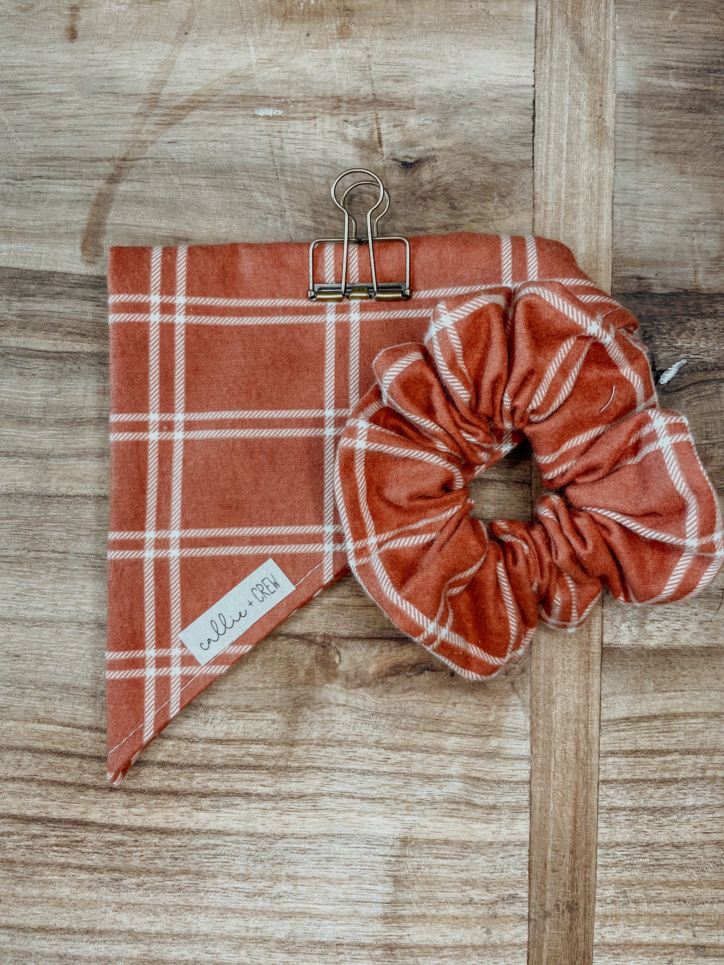 Pumpkin Patch Bandana