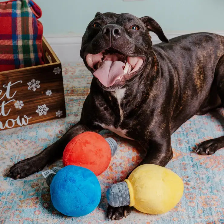 Plush Christmas Light Dog Toy