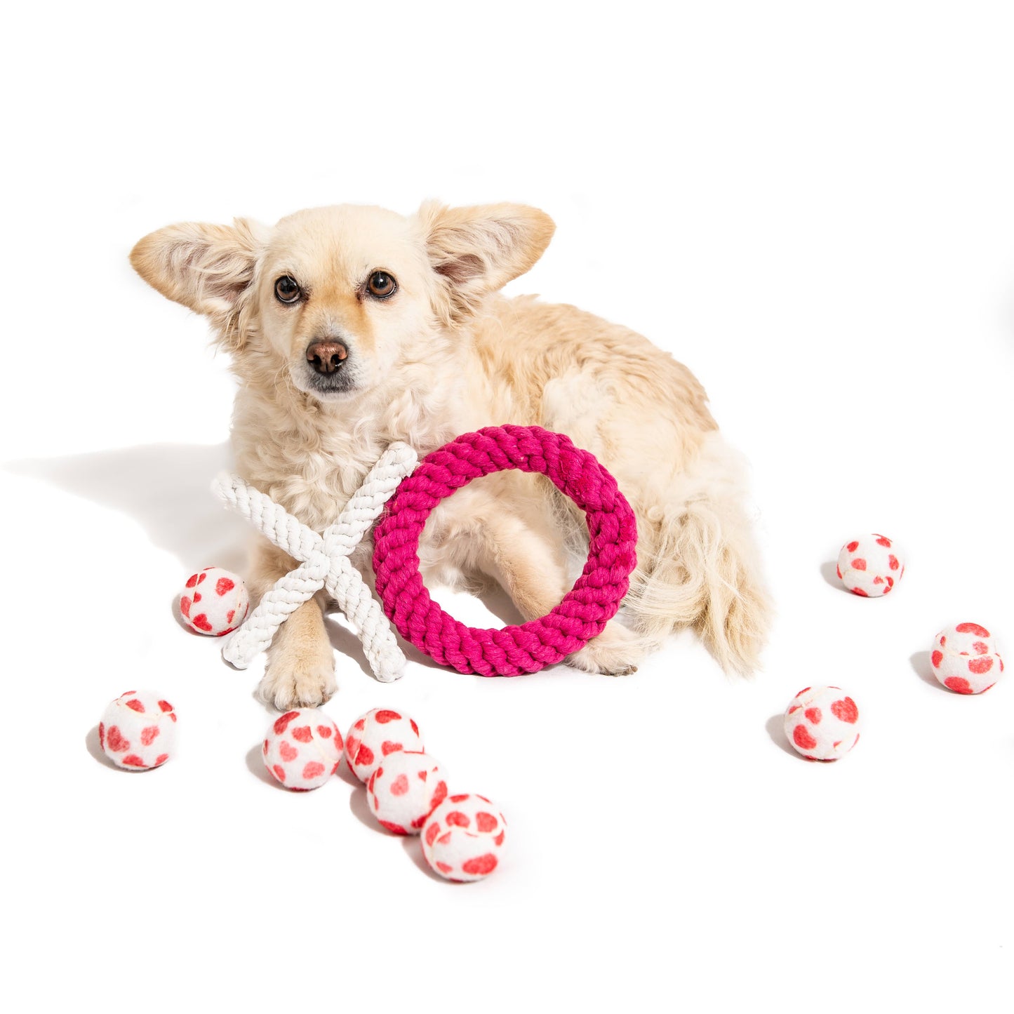 Valentine's Hearts Dog Tennis Balls
