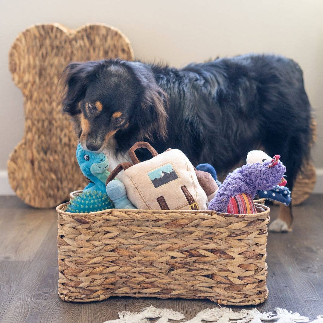 Bone Pet Storage Basket