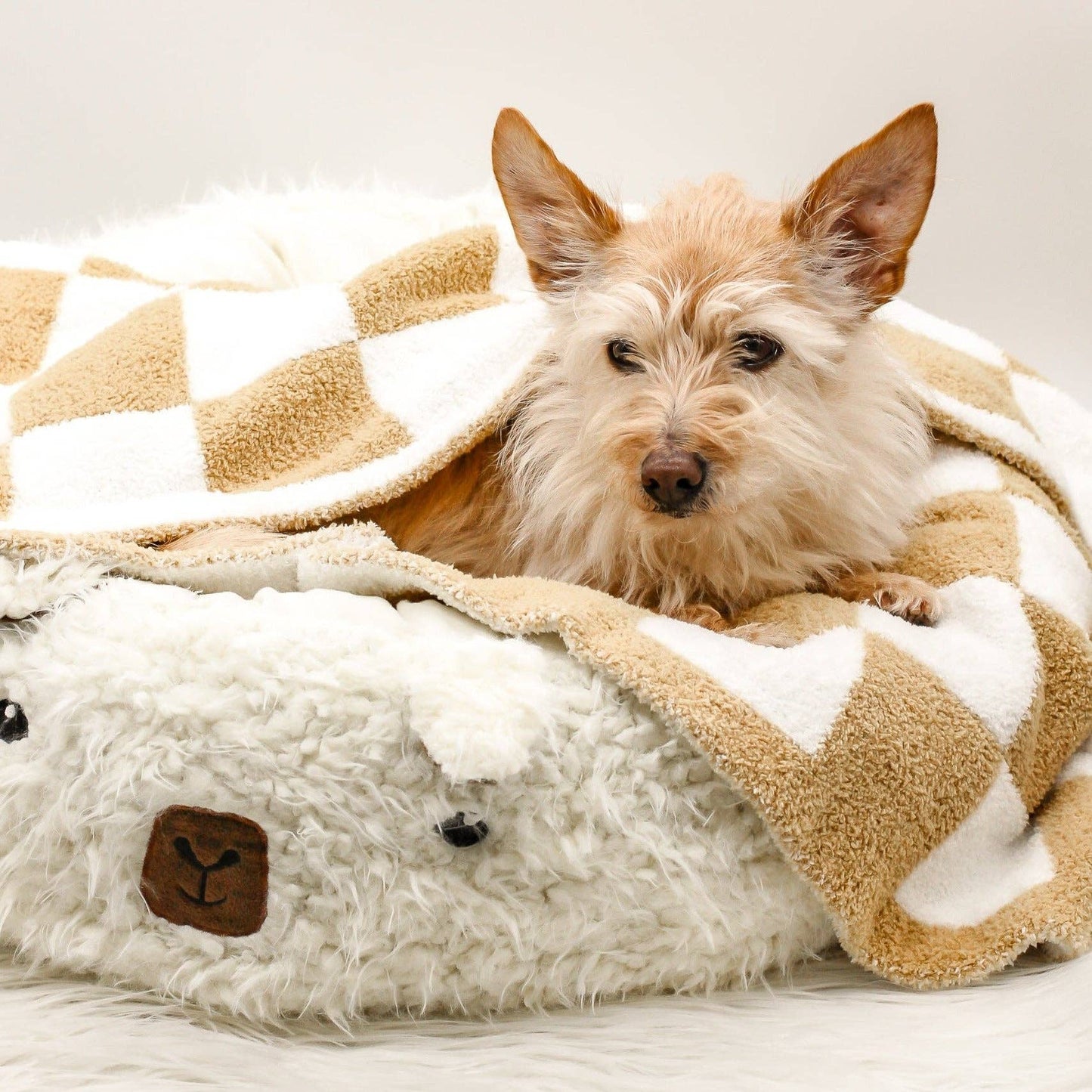 Mini Pet Blanket Tan Checkerboard