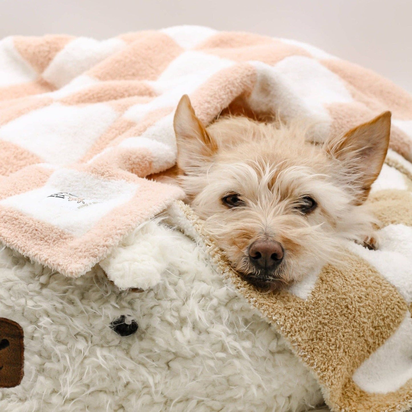 Mini Pet Blanket Dusty Pink Checkerboard