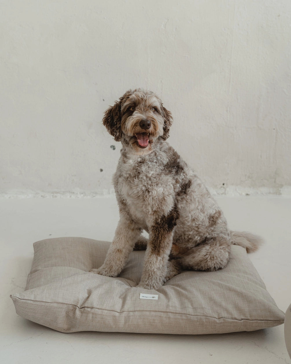 Dog Bed