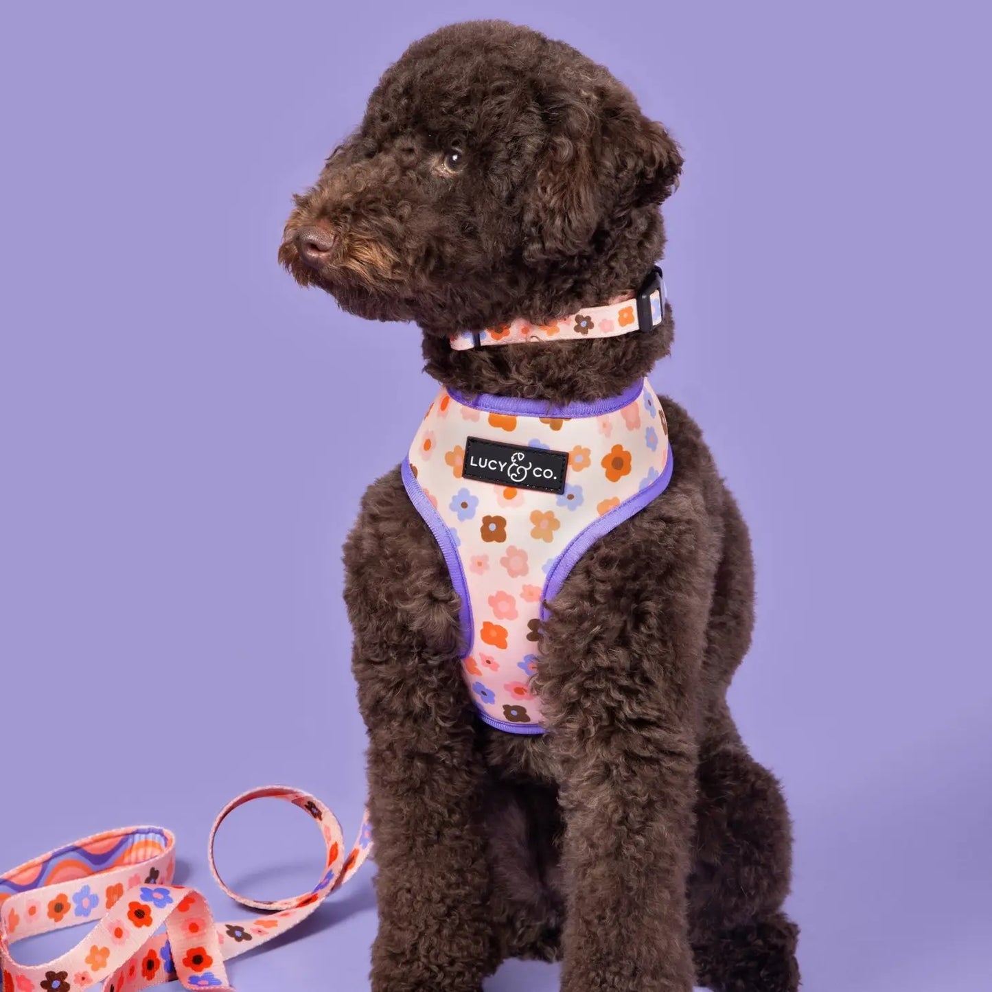 The Let's Groove Reversible Harness