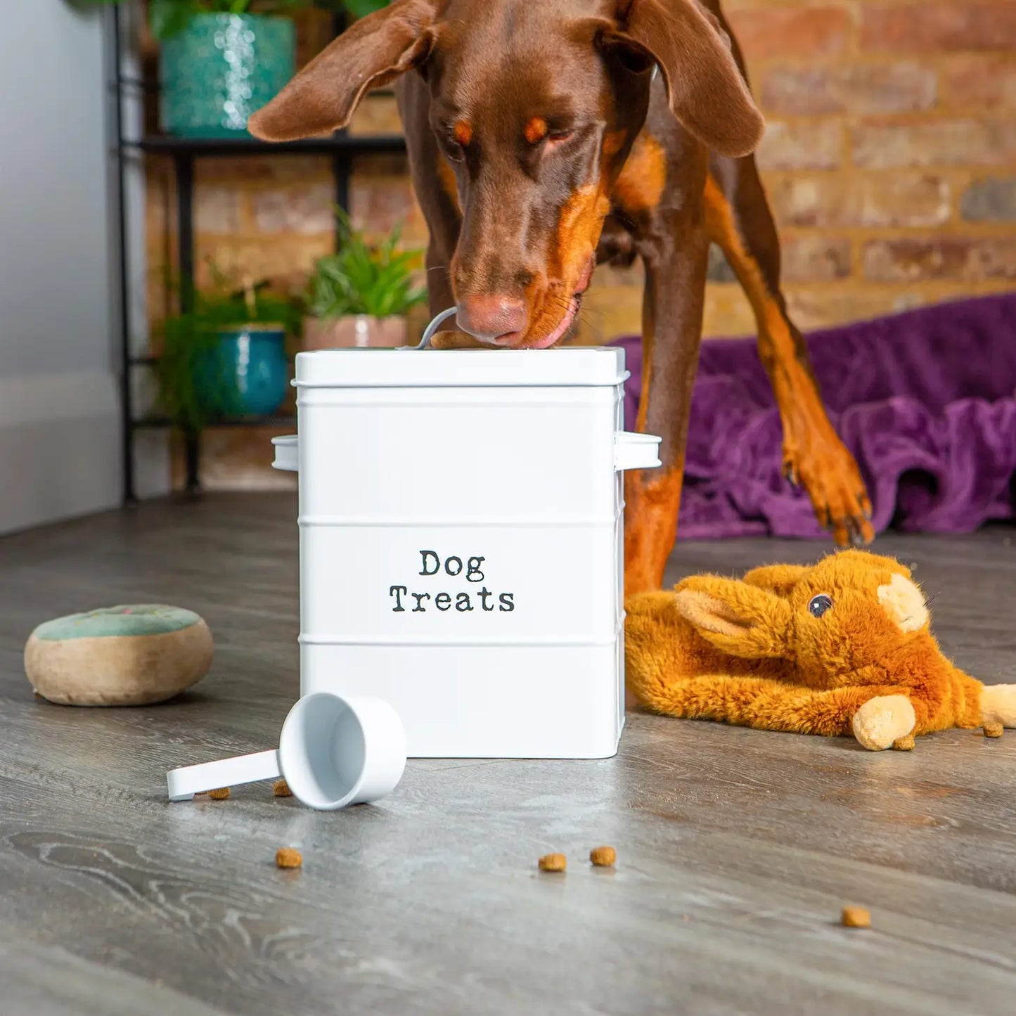 Vintage Metal Dog Treat Canister