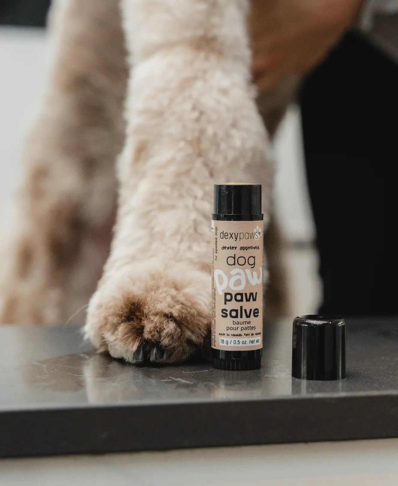 Dog Paw Salve