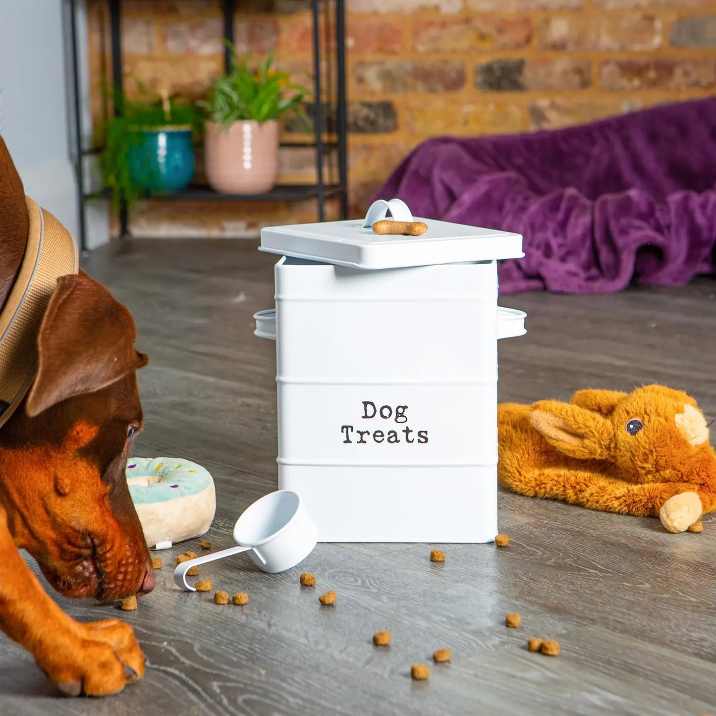 Vintage Metal Dog Treat Canister