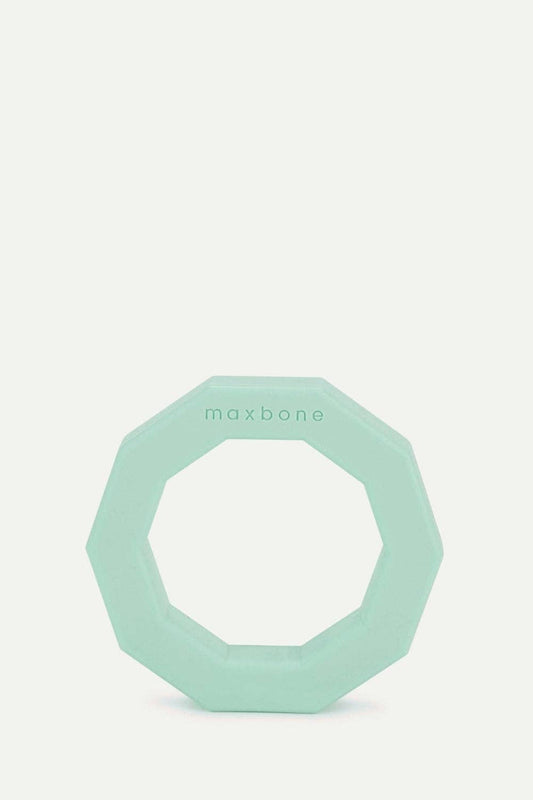 Decagon Rubber Dog Toy: Mint