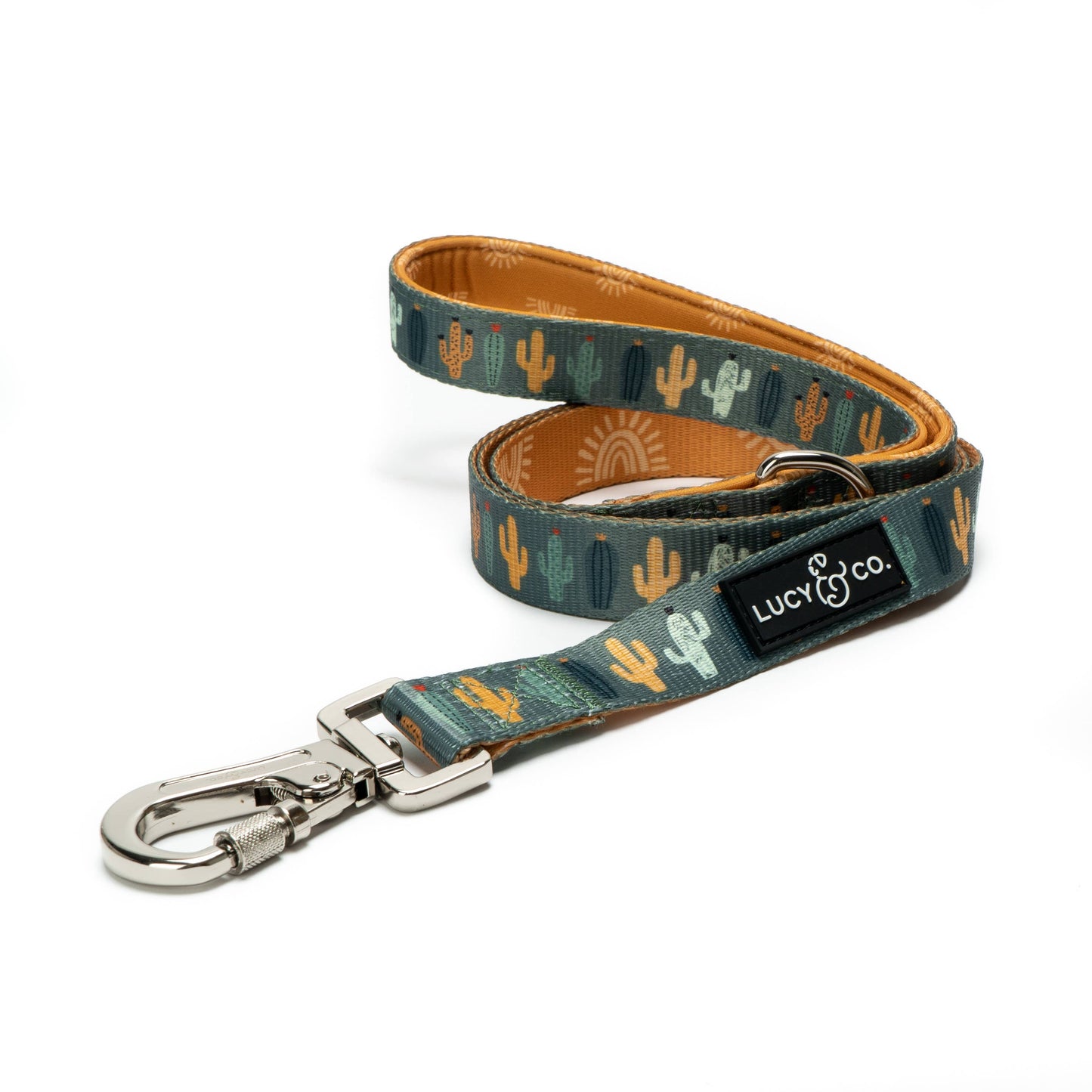 The Looking Sharp Leash