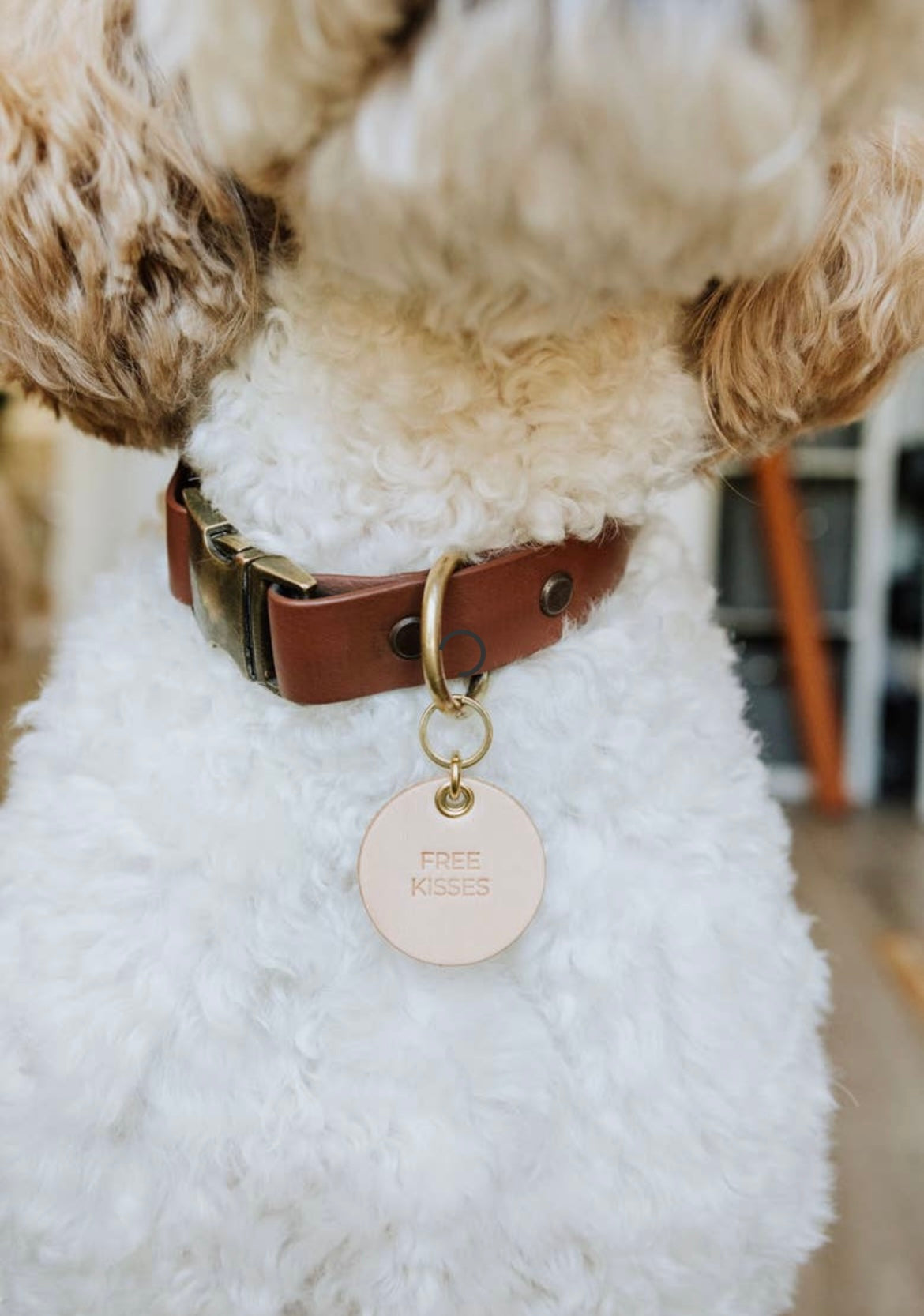 "Free Kisses" Leather Pet Collar Tag