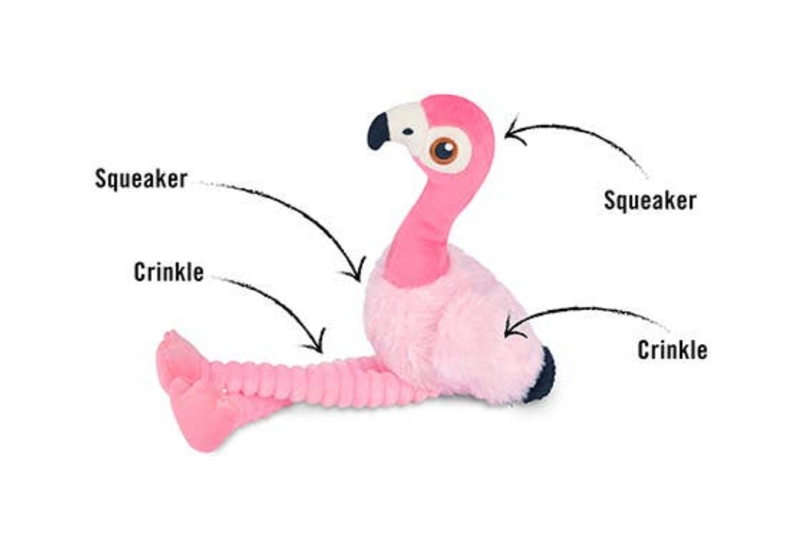 Fetching Flock - Flamingo