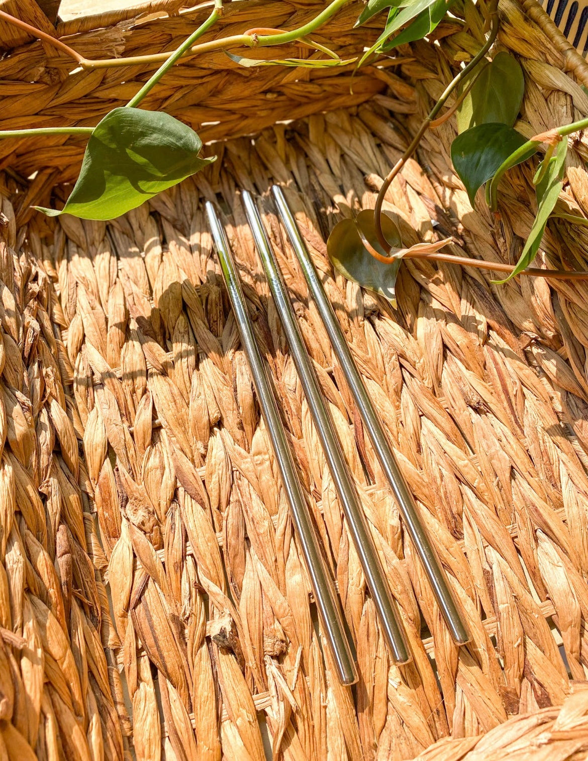 Straight Stainless Steel Reusable Straw