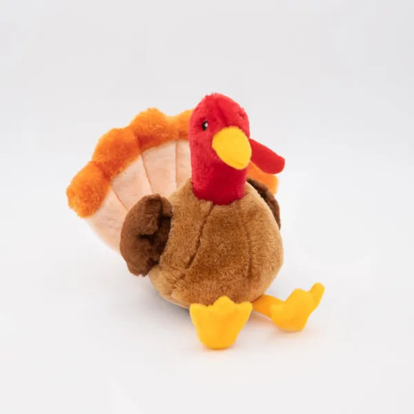 Tucker the Turkey