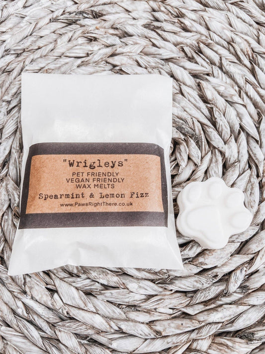 “Wrigleys” Spearmint & Lemon Fizz - Wax Melts