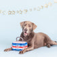 Plush Dog Toy - Star Spangled Summer