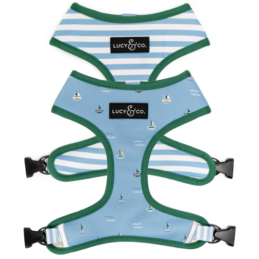 The Set Sail Reversible Harness