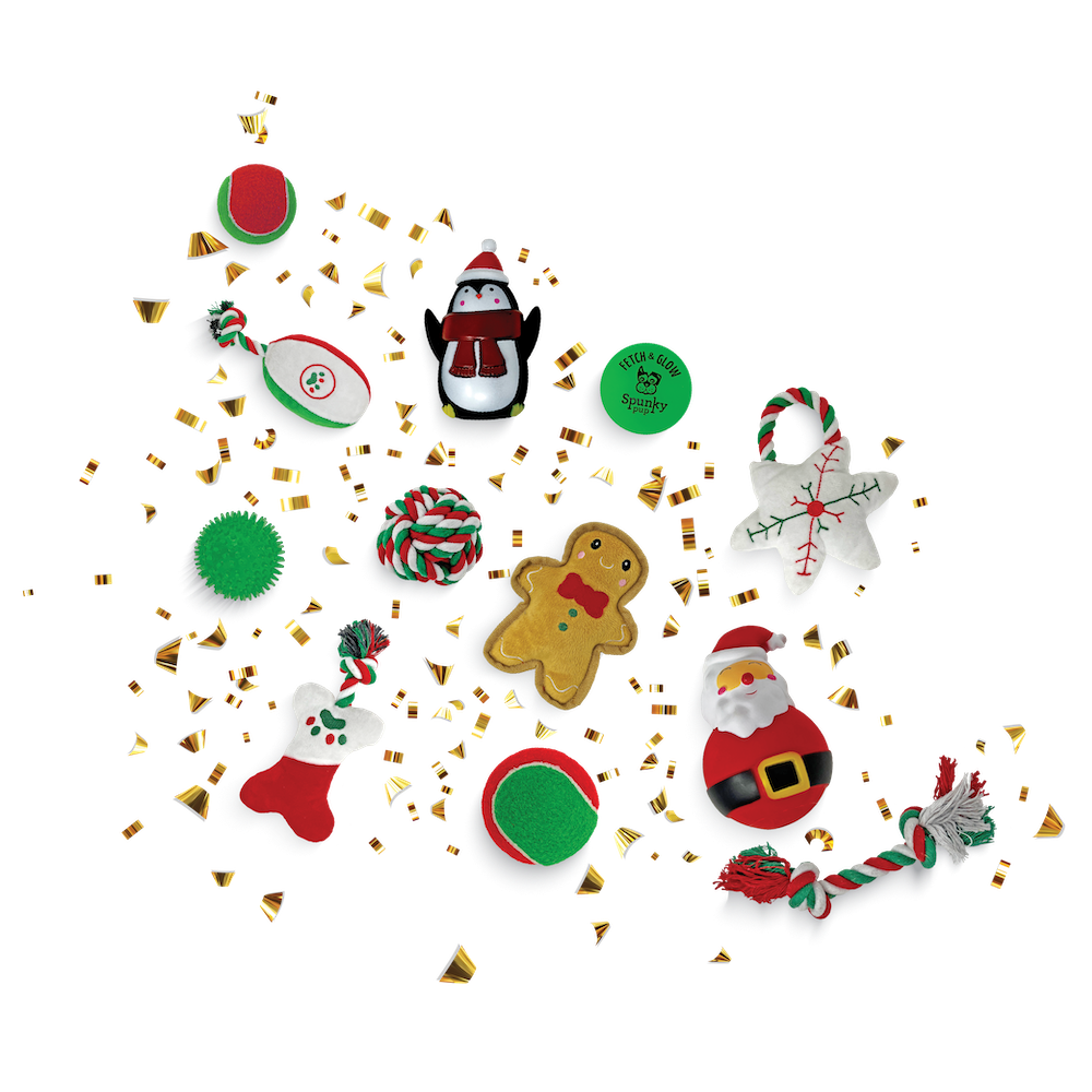 Advent Calendar - 12 Days of Toys