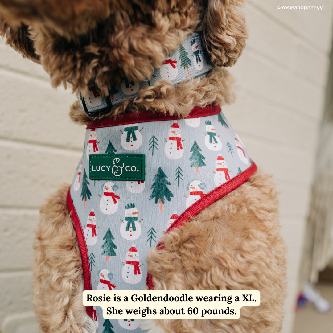 Snow Much Fun Reversible Harness