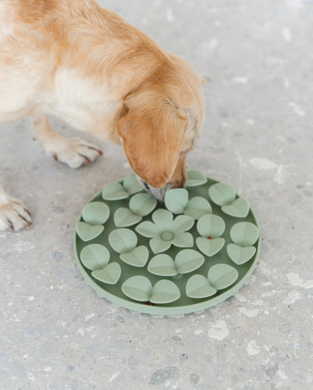 Sage Green Silicone Snuffle Mat