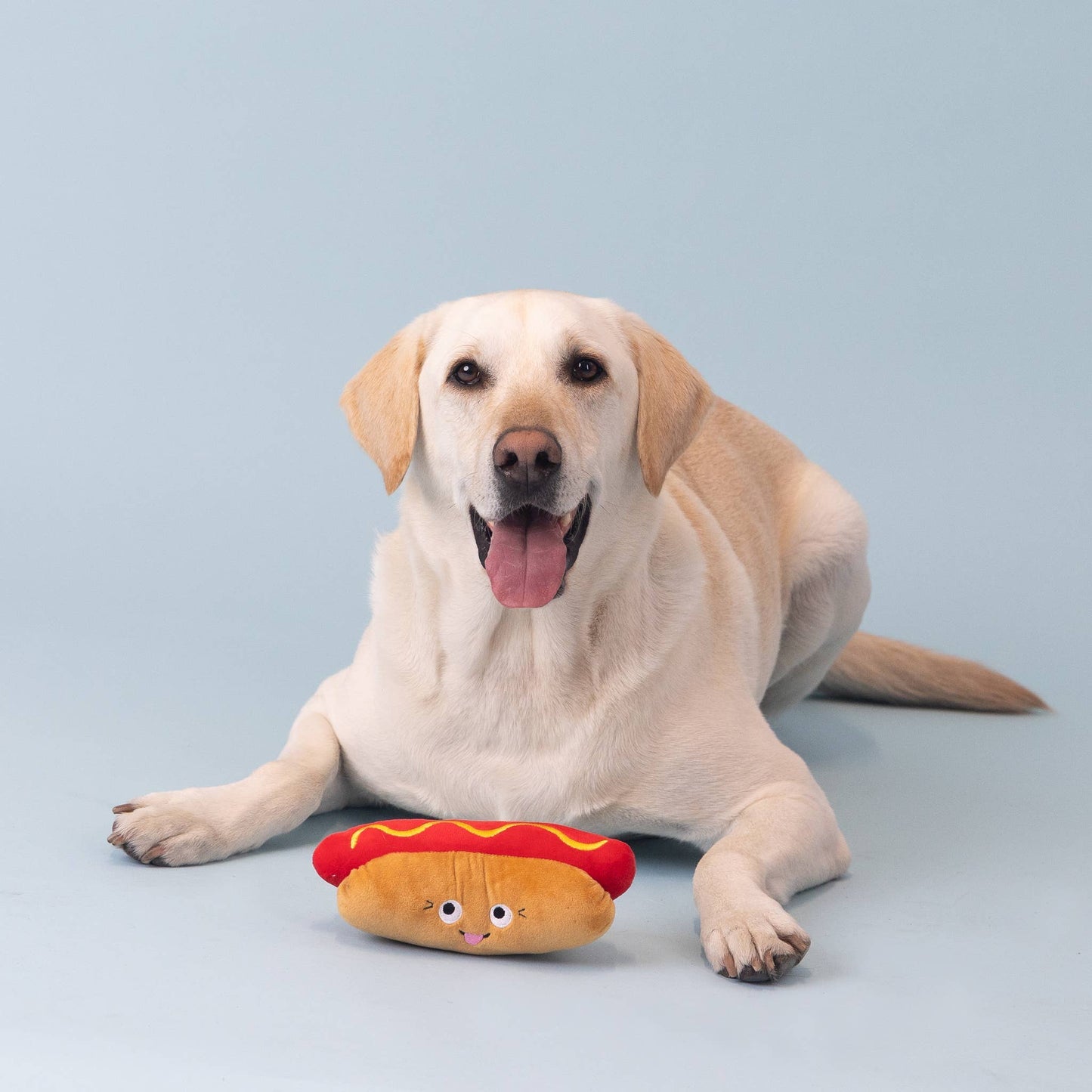 Hot Dog Plush Dog Toy