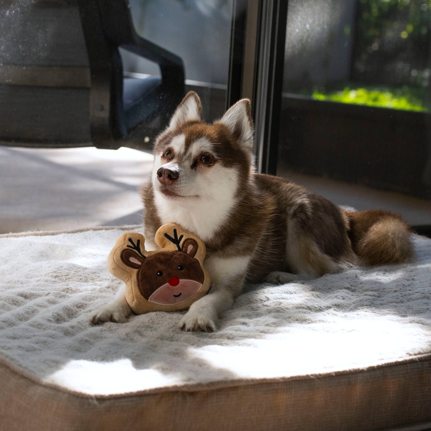 Reindeer Sugar Cookie Dog Toy