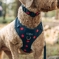 Appley Ever After Corduroy No-Pull Harness