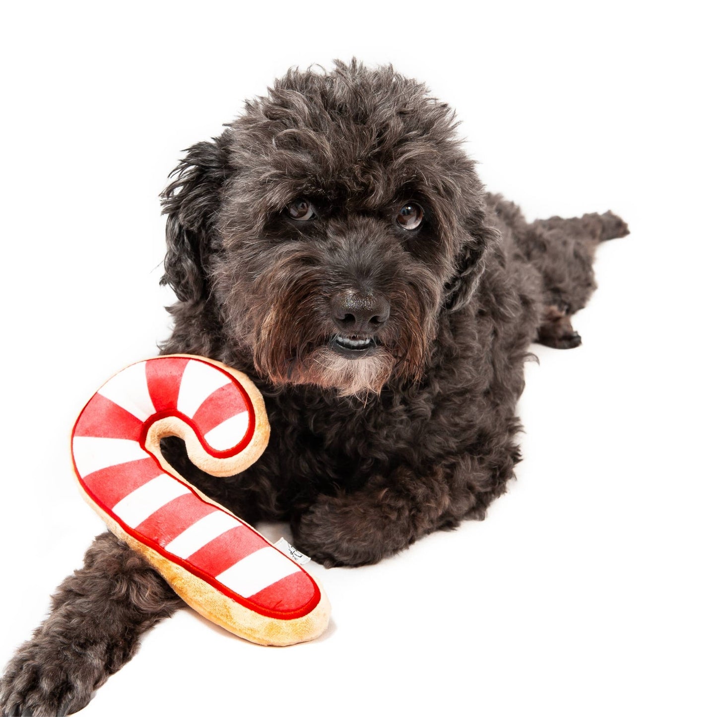 Candy Cane Sugar Cookie Plush Dog Toy