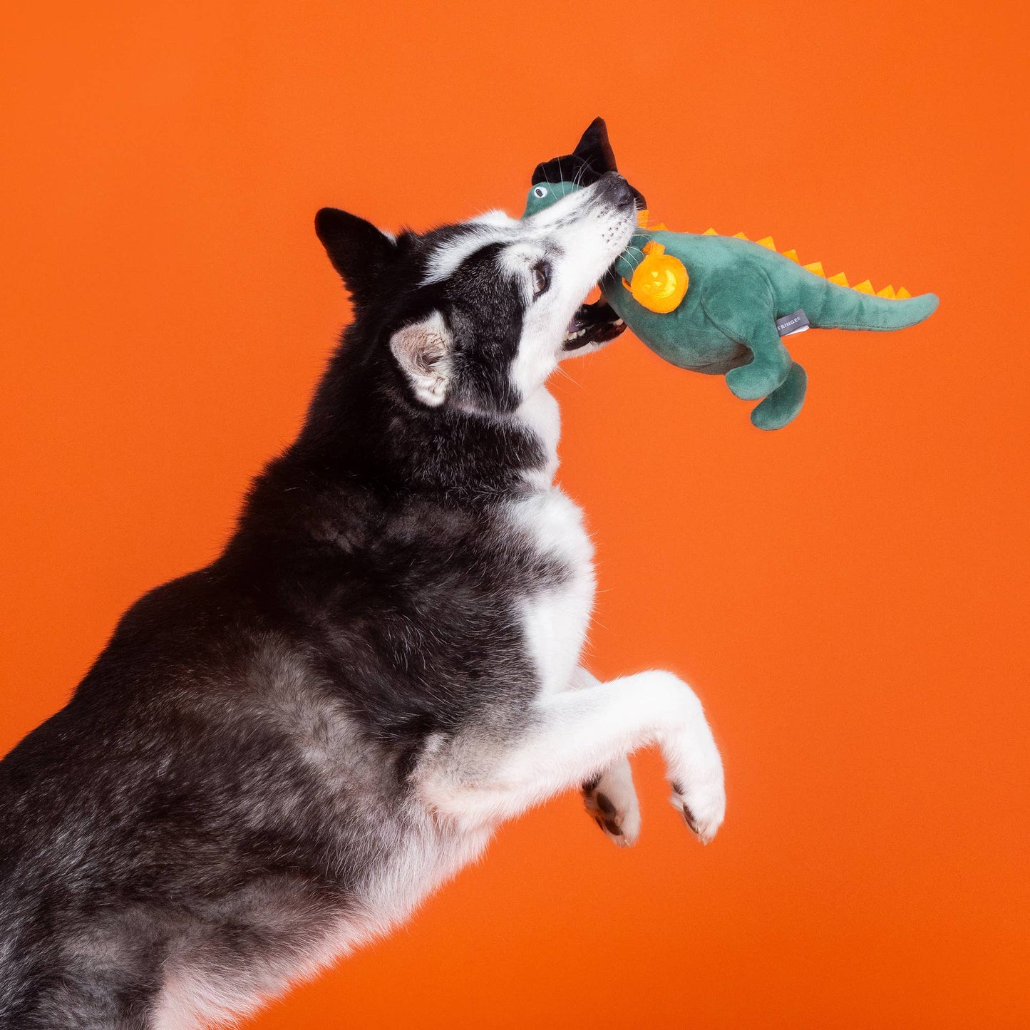 Candy T-Rex